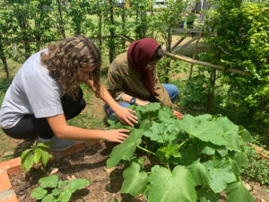 ISPP Biodiversity Garden